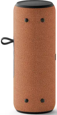 Умная колонка Яндекс Станция Стрит с Алисой на YaGPT Оранжевый